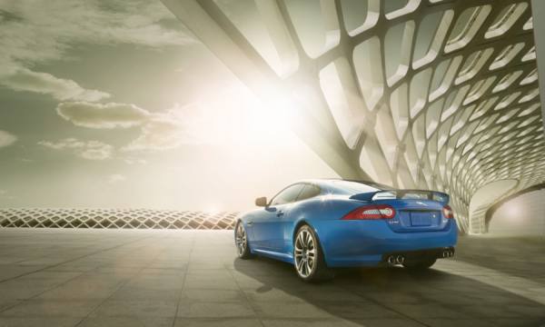 Photograph Kevin Necessary Jaguar on One Eyeland